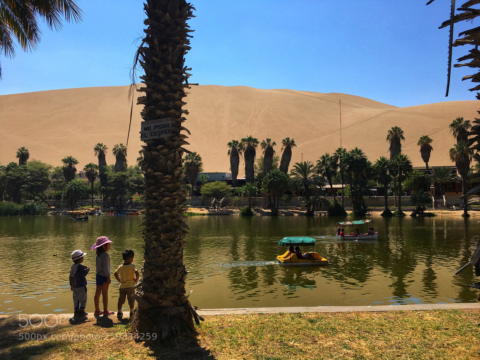 Apple iPhone 6s sample photo. Hidden oasis photography