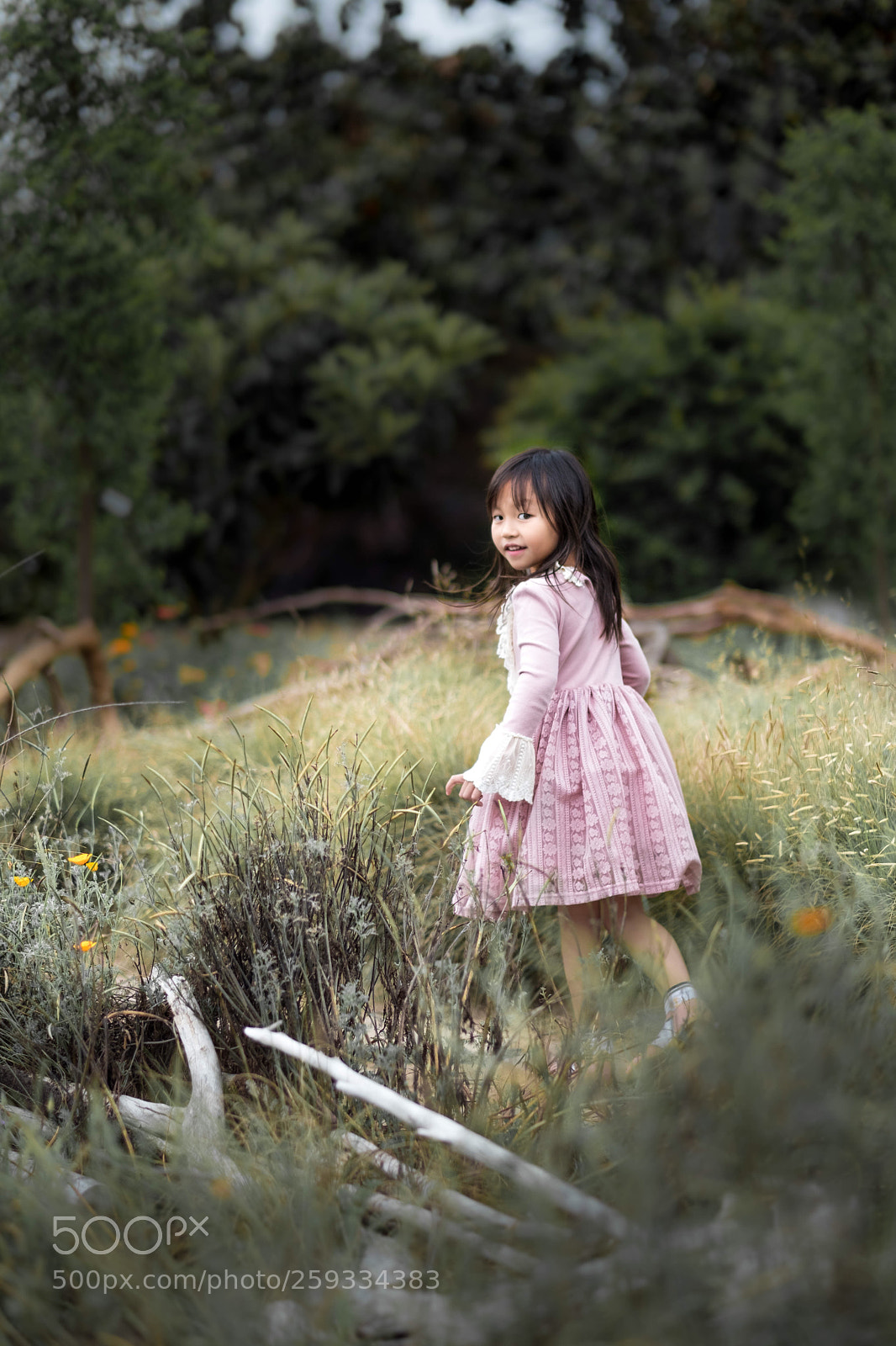 Fujifilm X-T2 sample photo. Untitled photography