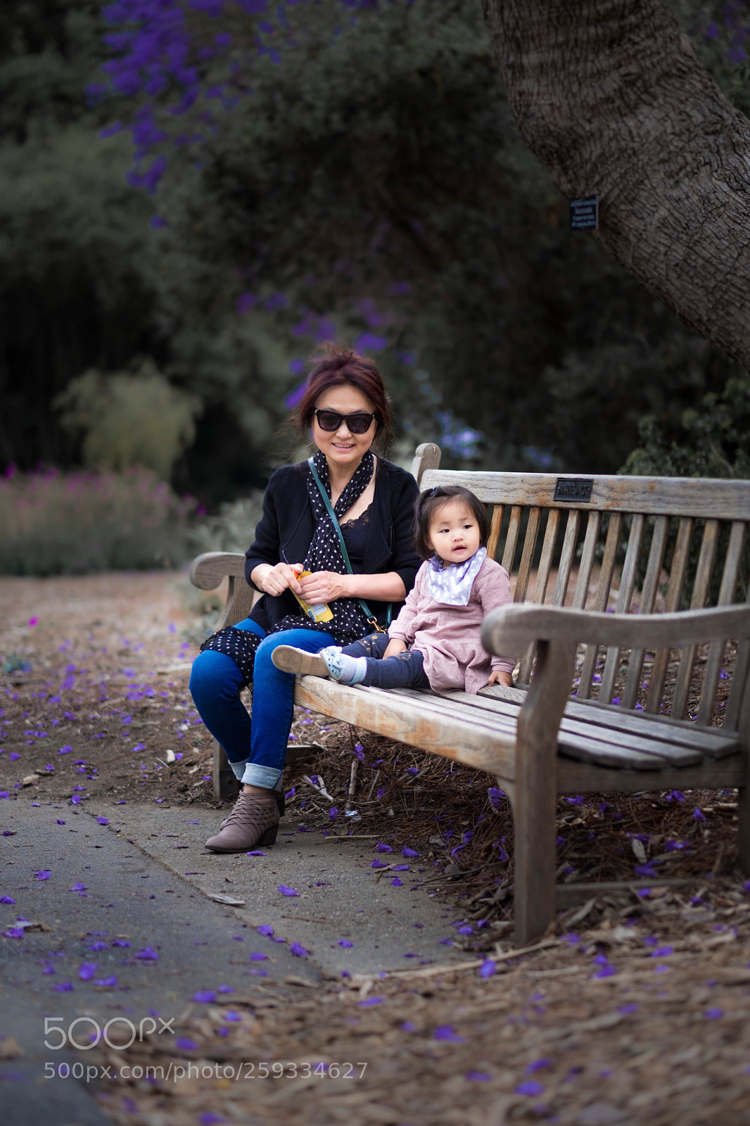 Fujifilm X-T2 sample photo. Untitled photography