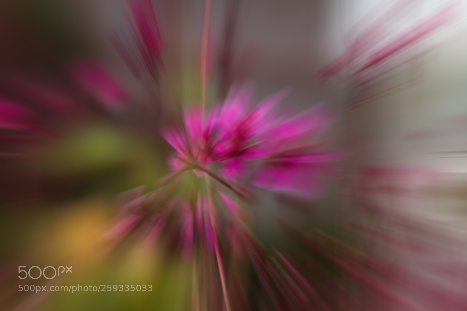 Canon EOS 70D sample photo. Abstract photography