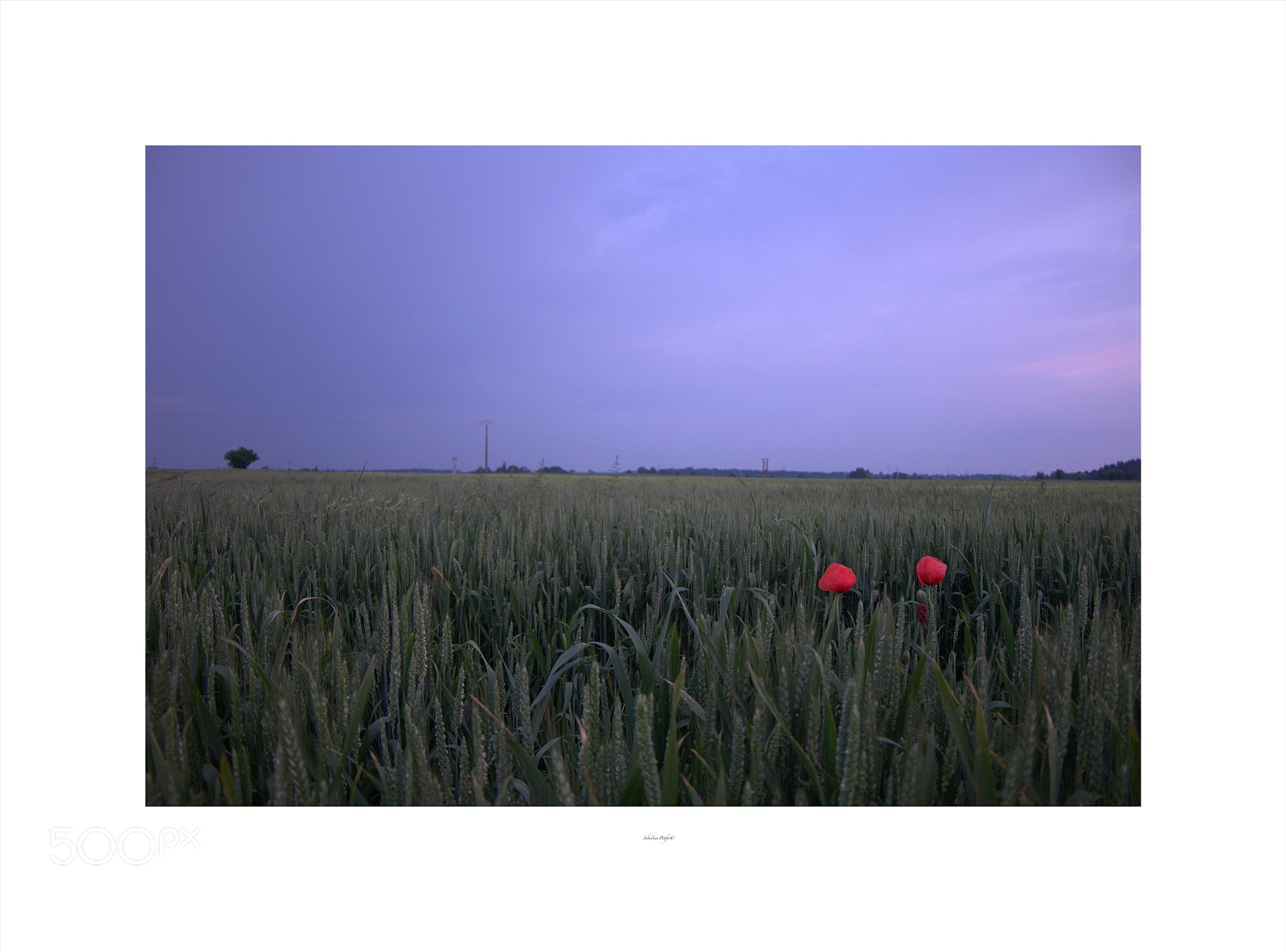 Fujifilm X-M1 sample photo. Dusk in sarthe photography