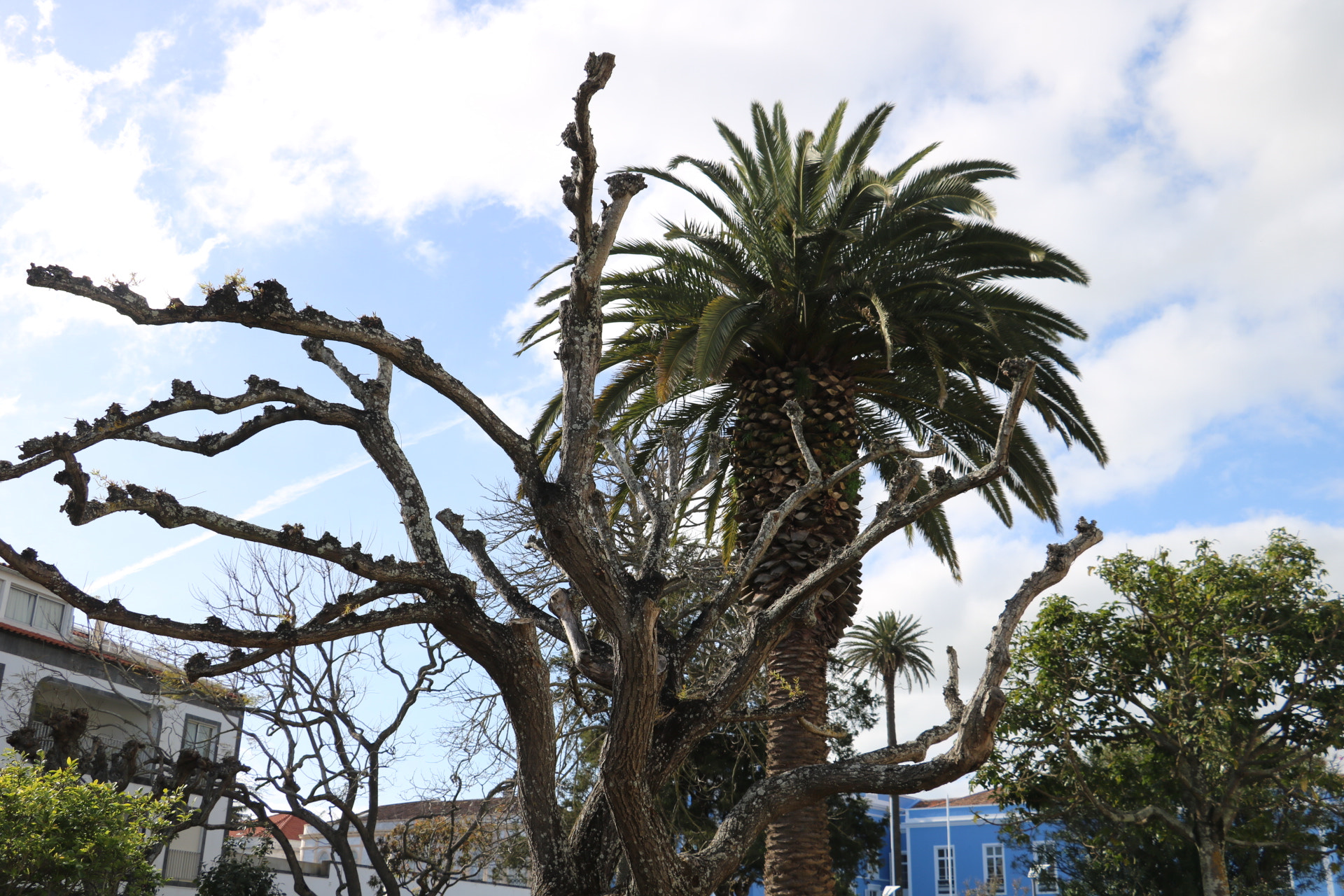 Canon EOS 750D (EOS Rebel T6i / EOS Kiss X8i) sample photo