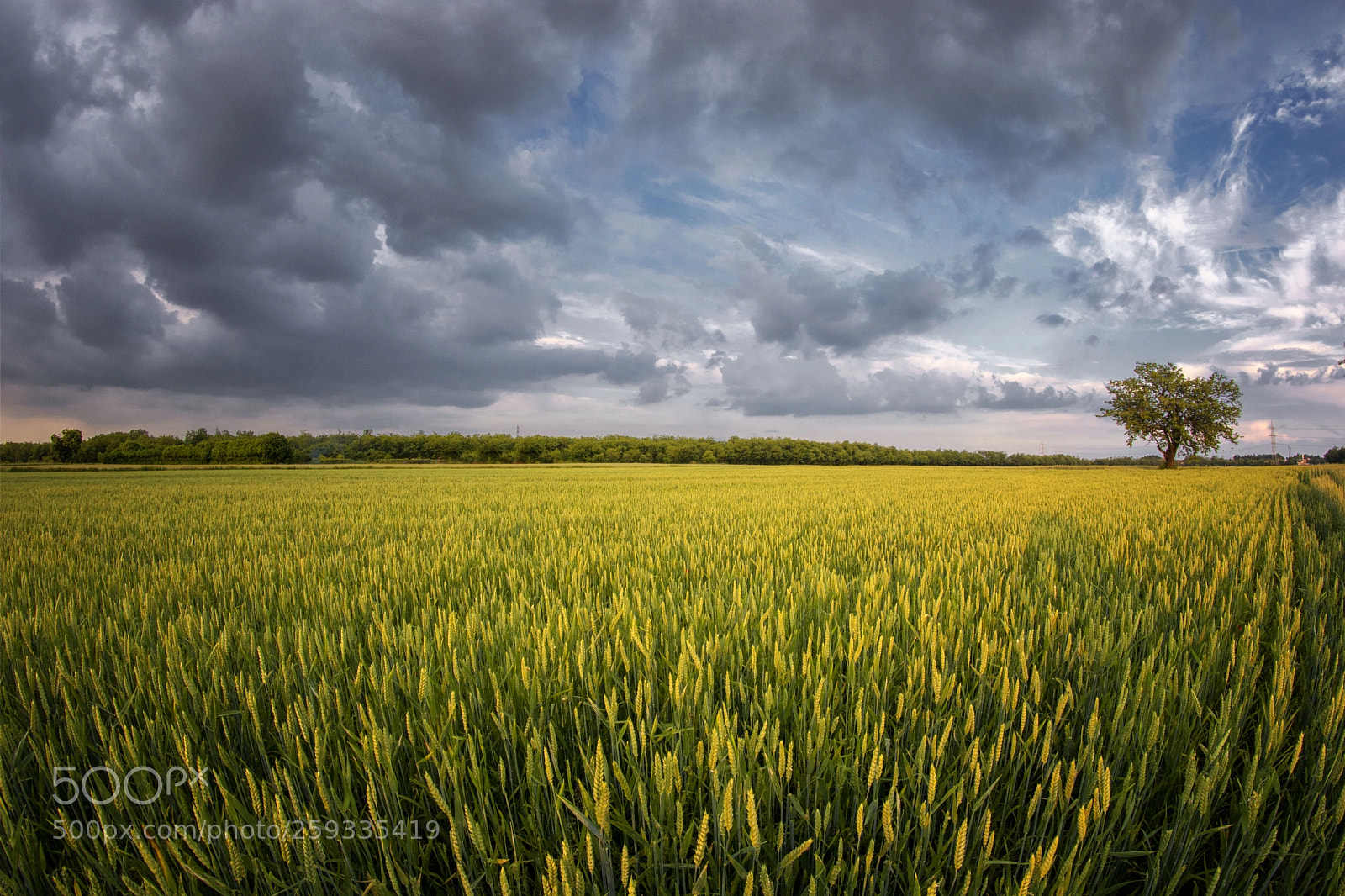 Nikon D7100 sample photo. After the storm photography