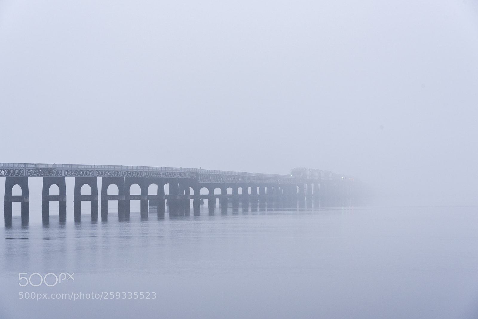 Nikon D750 sample photo. Misty mornings photography