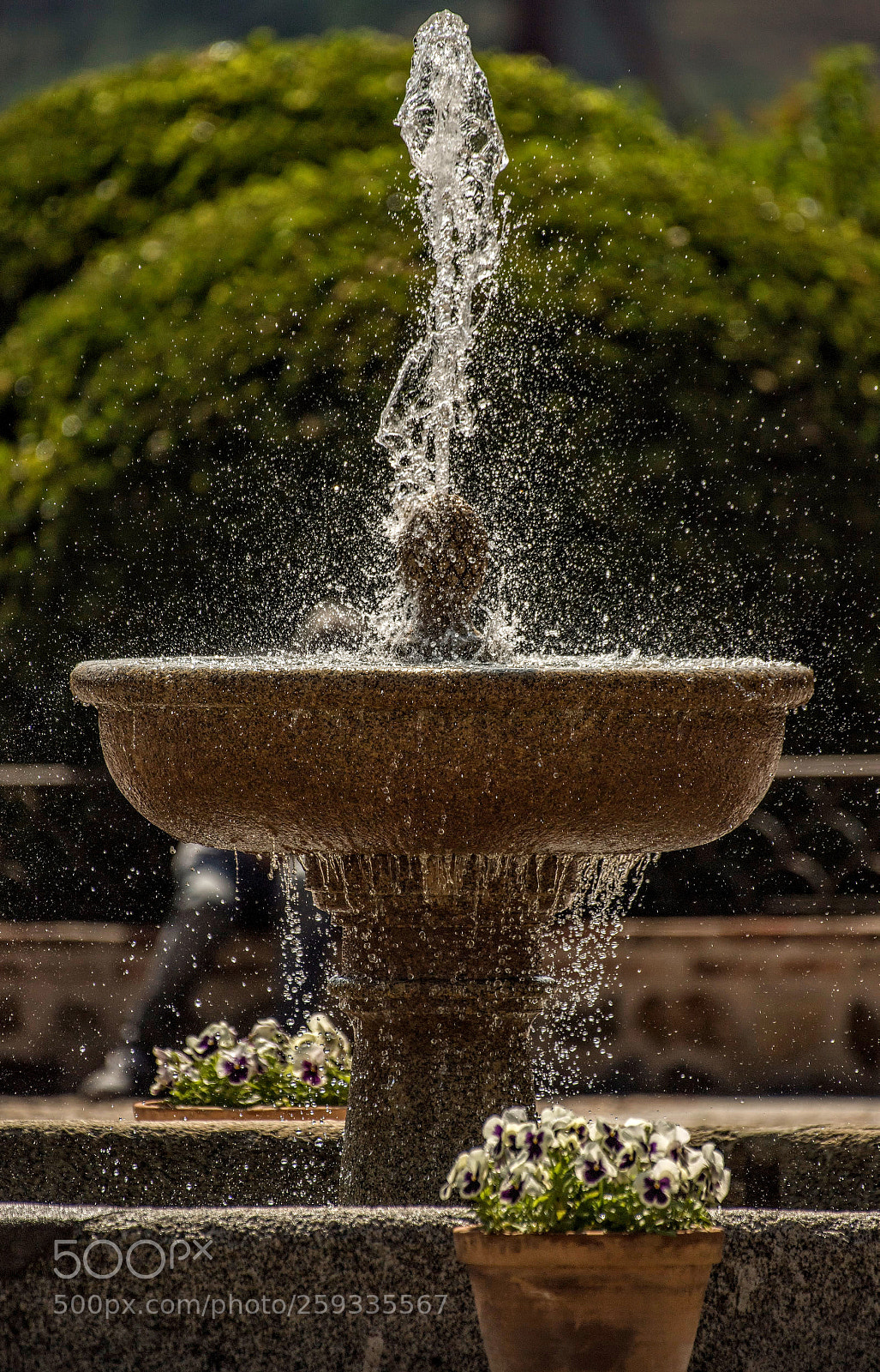 Nikon D5 sample photo. Fuente photography