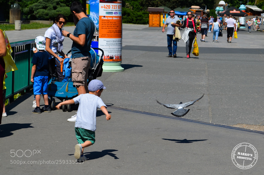 Nikon D5100 sample photo. Perfect shot @ karlovy vary photography