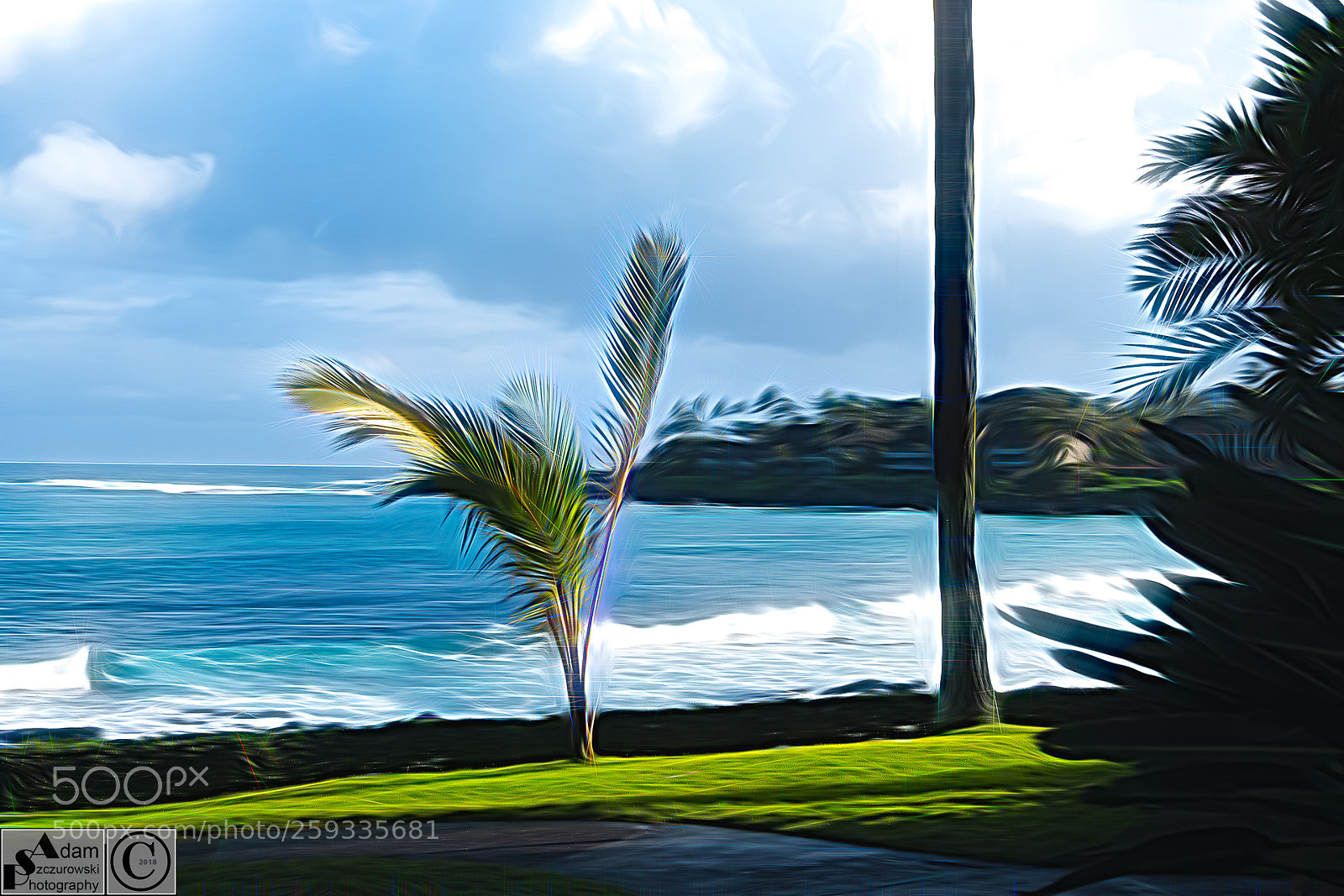 Fujifilm X-T2 sample photo. Hawaii's variation photography