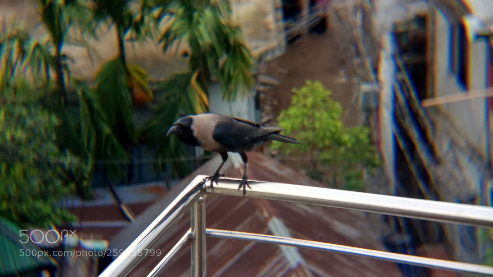 Xiaomi Redmi Note 4 sample photo. ������������������������������� photography
