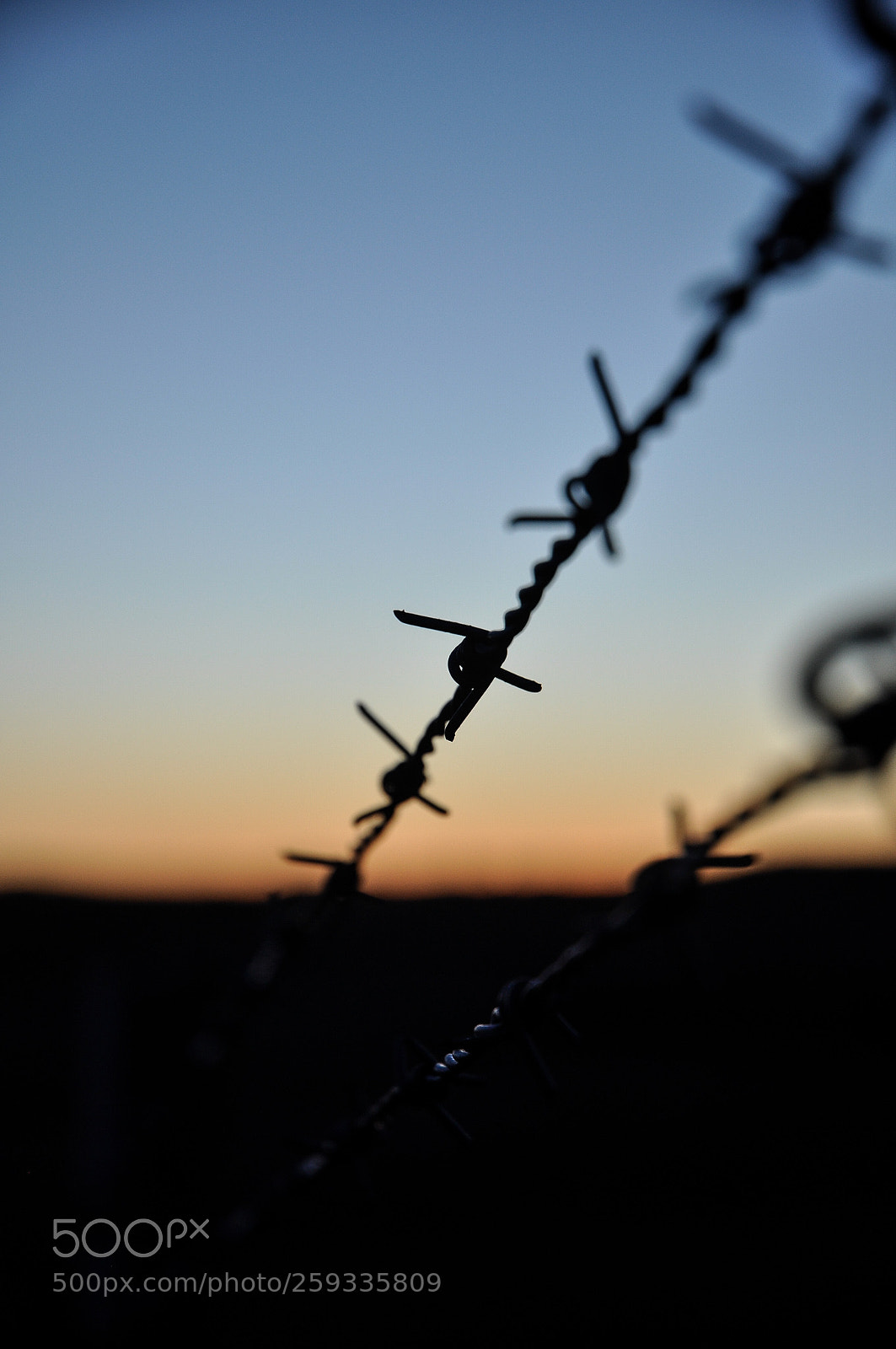 Nikon D5000 sample photo. Barbed wire at sunset. photography