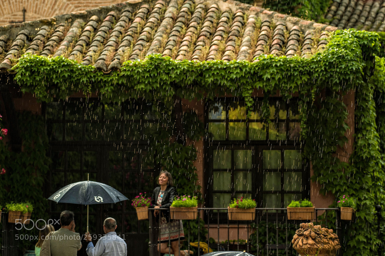 Nikon D5 sample photo. Lluvia y mosquitos photography