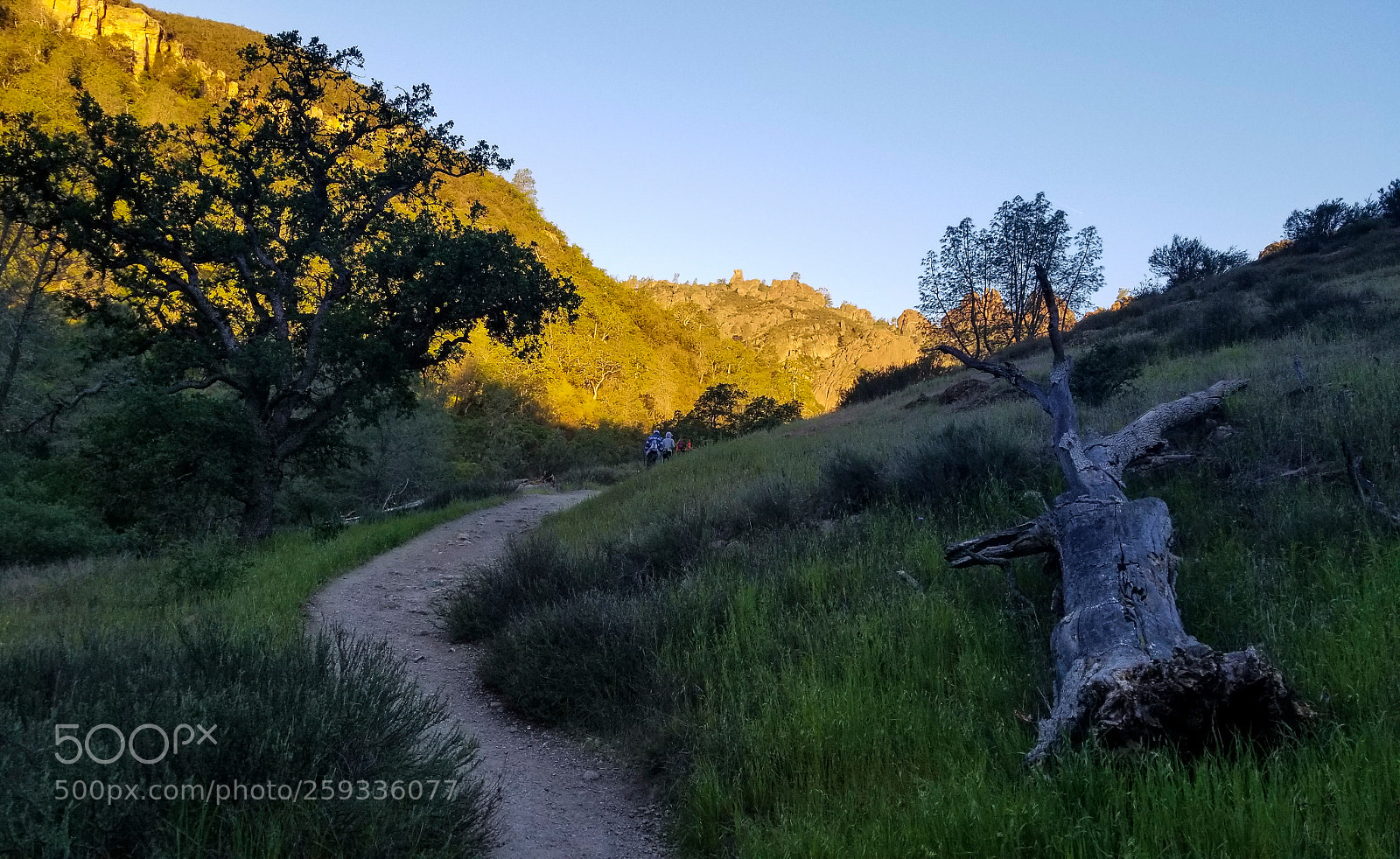 Samsung Galaxy S8+ sample photo. Morning rise photography