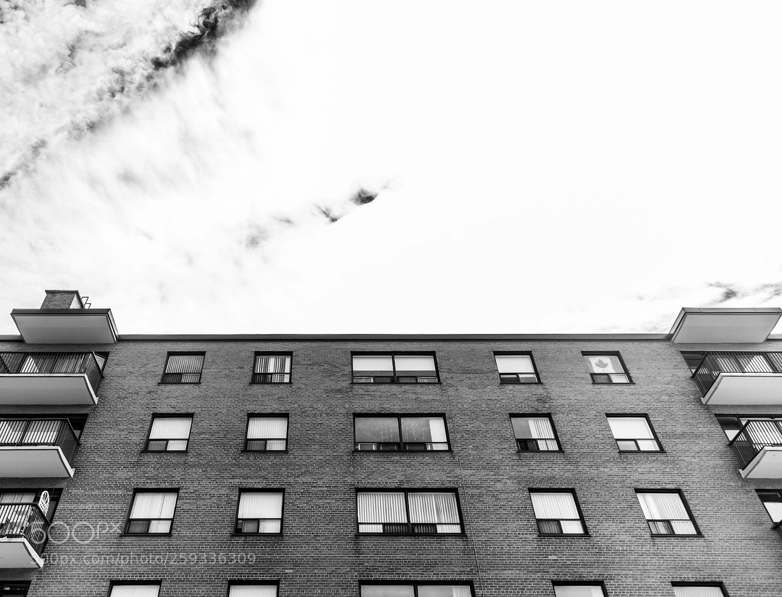 Nikon D7200 sample photo. Look up photography