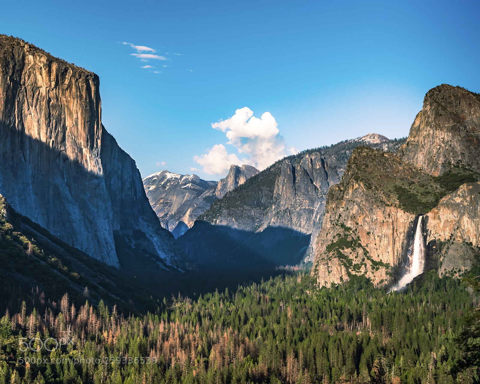 Sony a7R III sample photo. Tunnel view photography