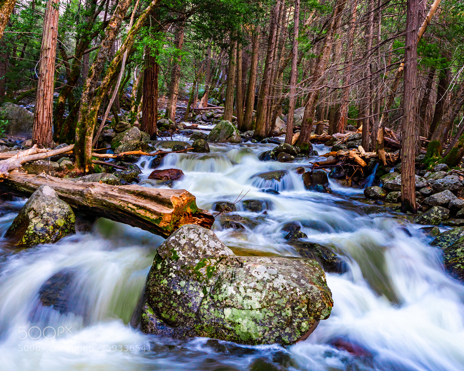 Sony a7R III sample photo. The stream below the photography