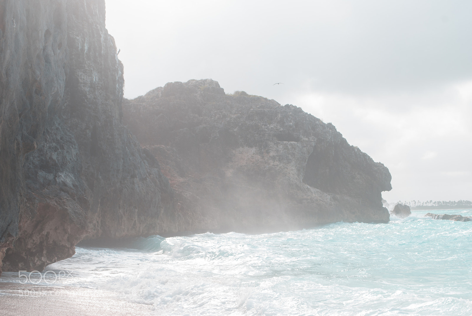 Nikon D60 sample photo. Offcolor paradise photography
