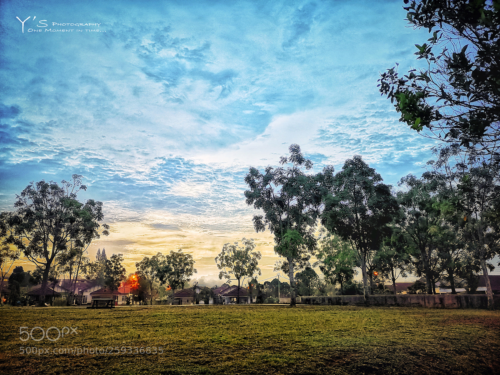 HUAWEI CLT-L29 sample photo. A nice morning. 美好的早晨。 photography