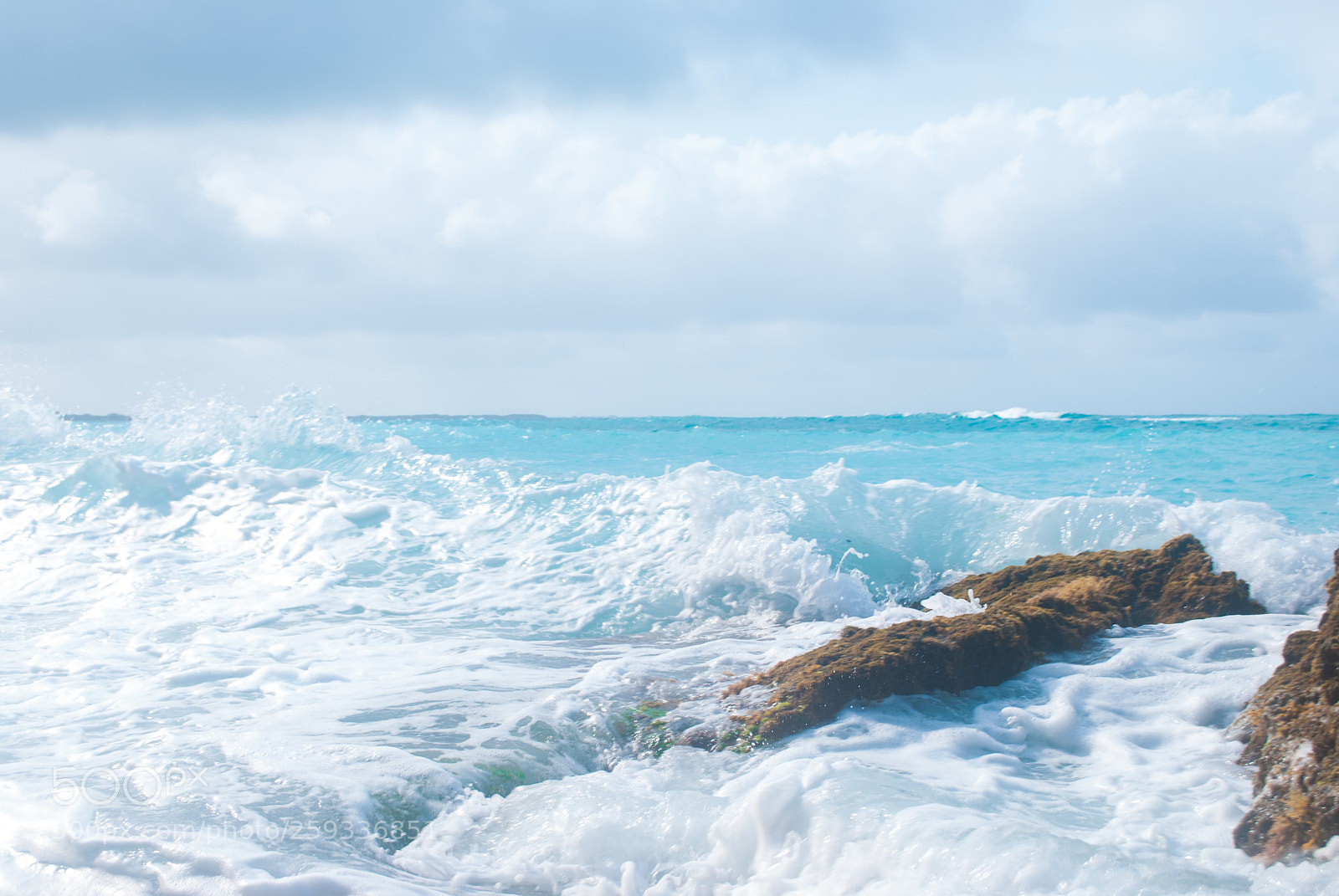 Nikon D60 sample photo. Waves and reed photography