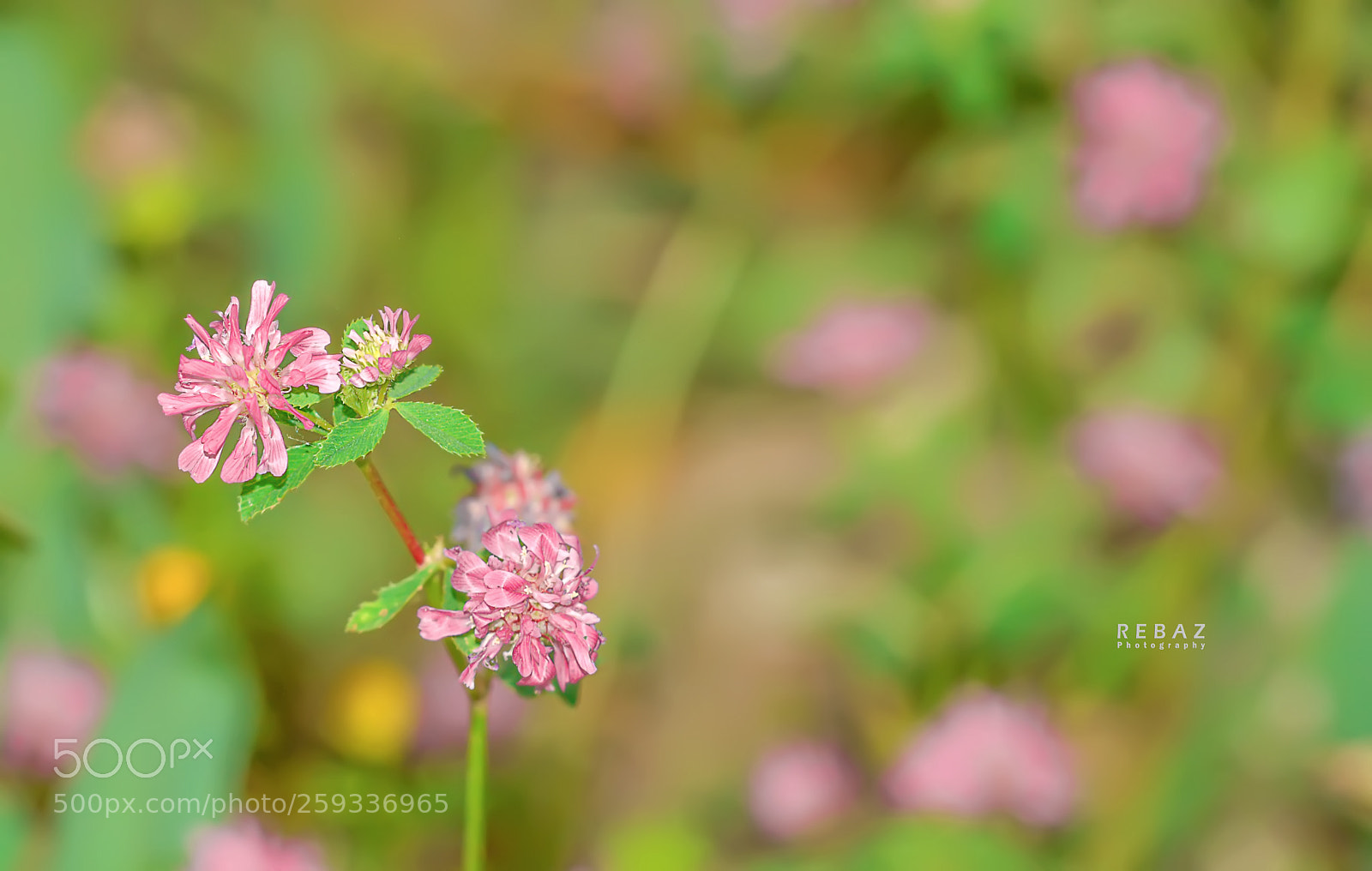 Nikon D7100 sample photo. Untitled photography