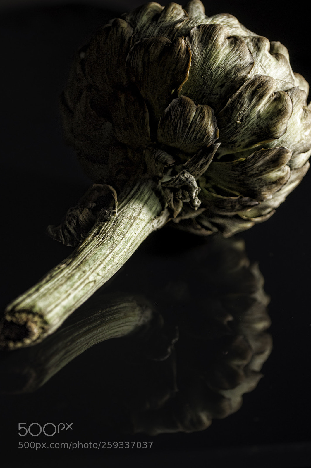 Nikon D90 sample photo. Alcachofa  photography