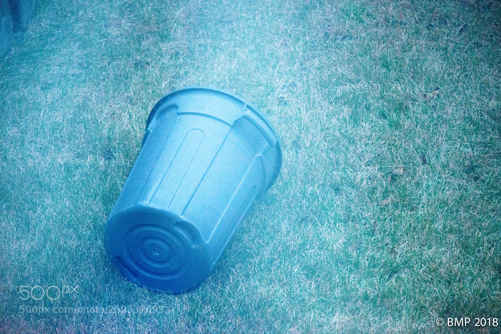 Nikon D800 sample photo. Summer wind photography