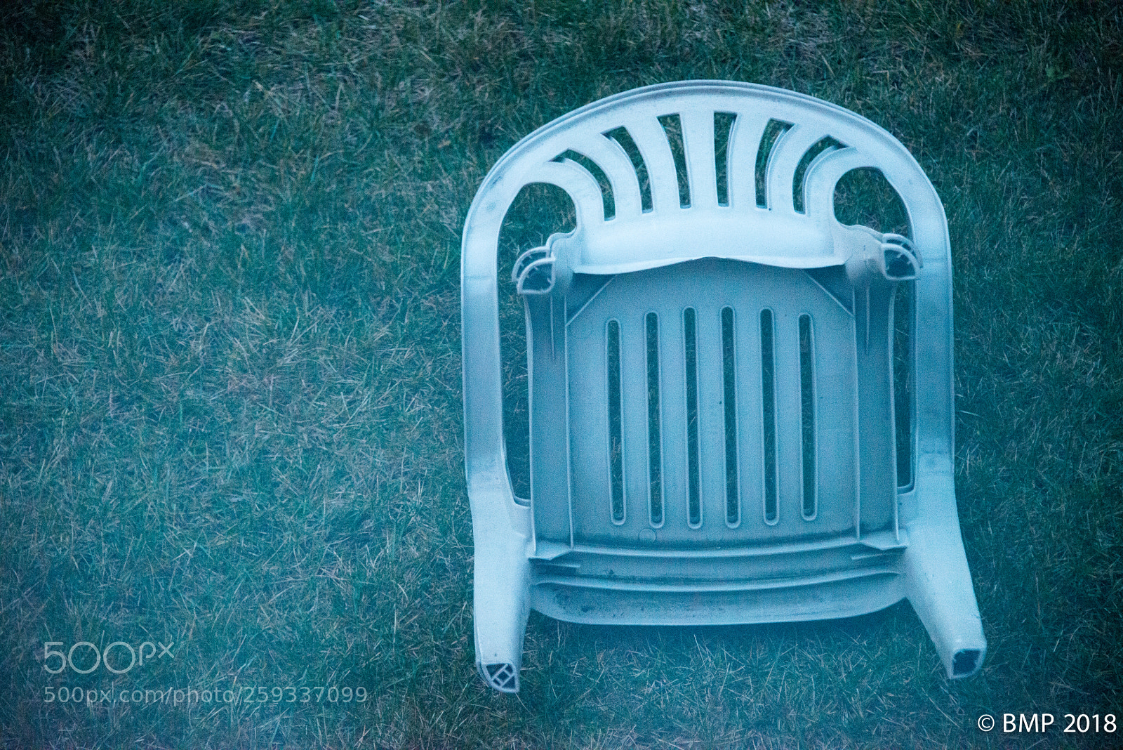 Nikon D800 sample photo. The fallen photography