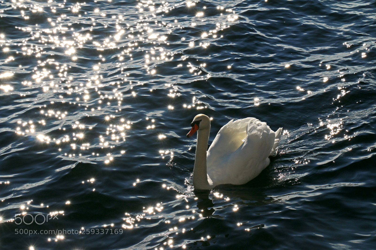 Canon EOS 70D sample photo. Light photography