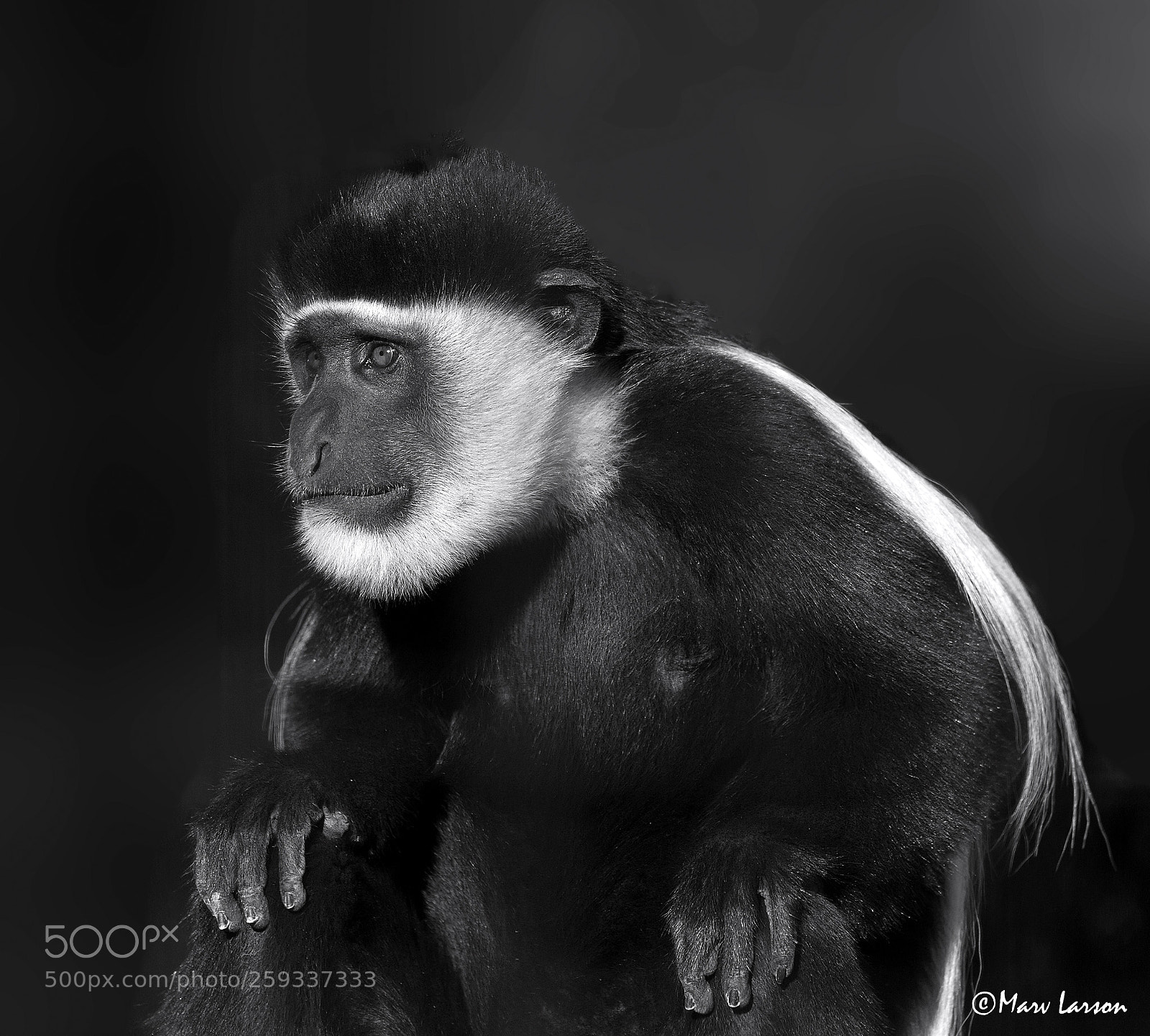 Canon EOS 6D sample photo. Untitled photography