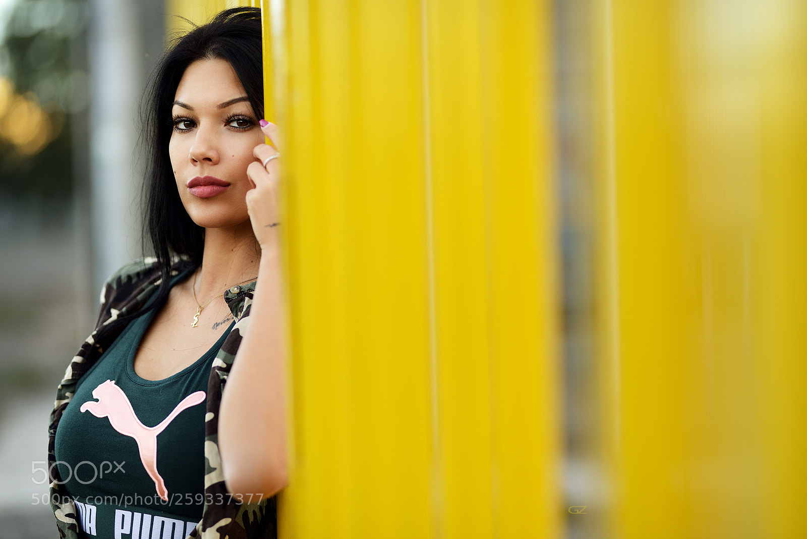 Nikon D800E sample photo. Sliding doors photography