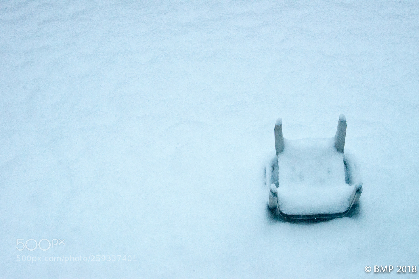 Nikon D800 sample photo. Winter lawn photography