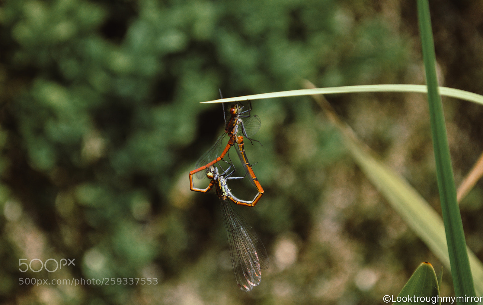 Nikon D3200 sample photo. Untitled photography