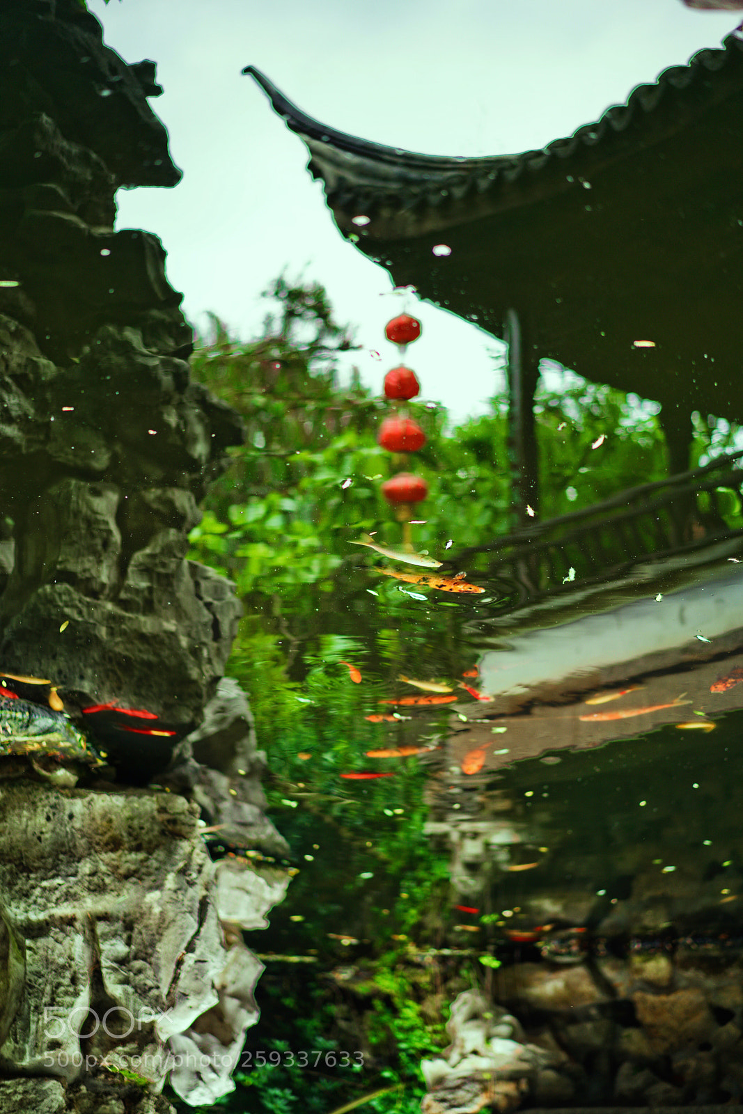 Sony a7R II sample photo. Rotate photography