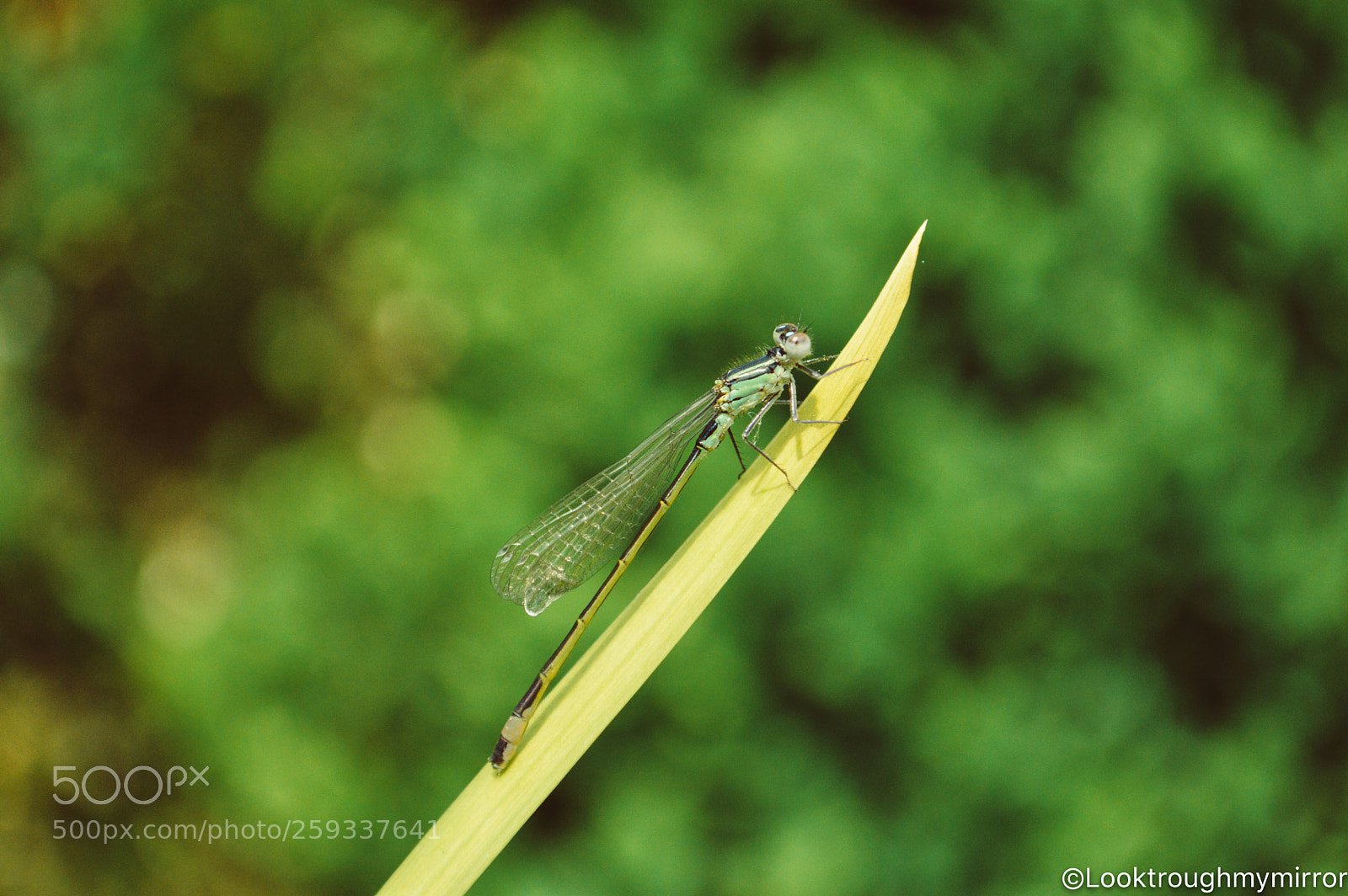 Nikon D3200 sample photo. Untitled photography