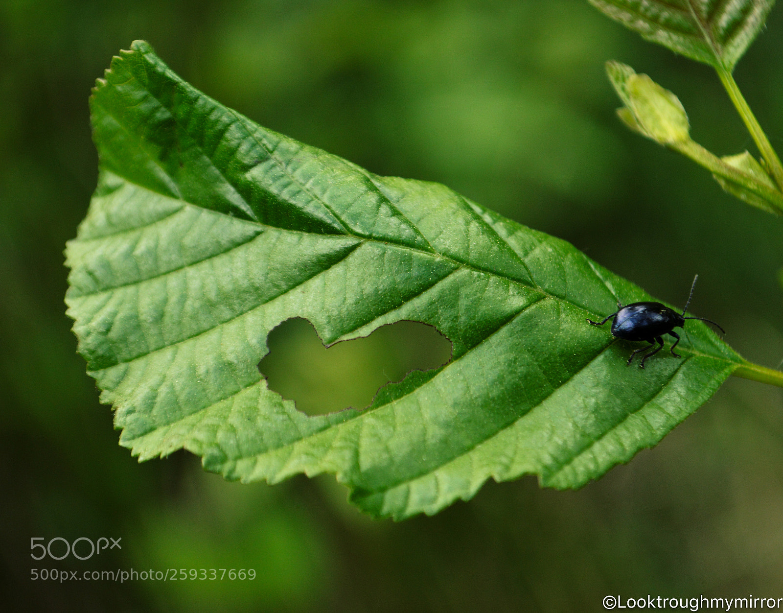 Nikon D3200 sample photo. Untitled photography