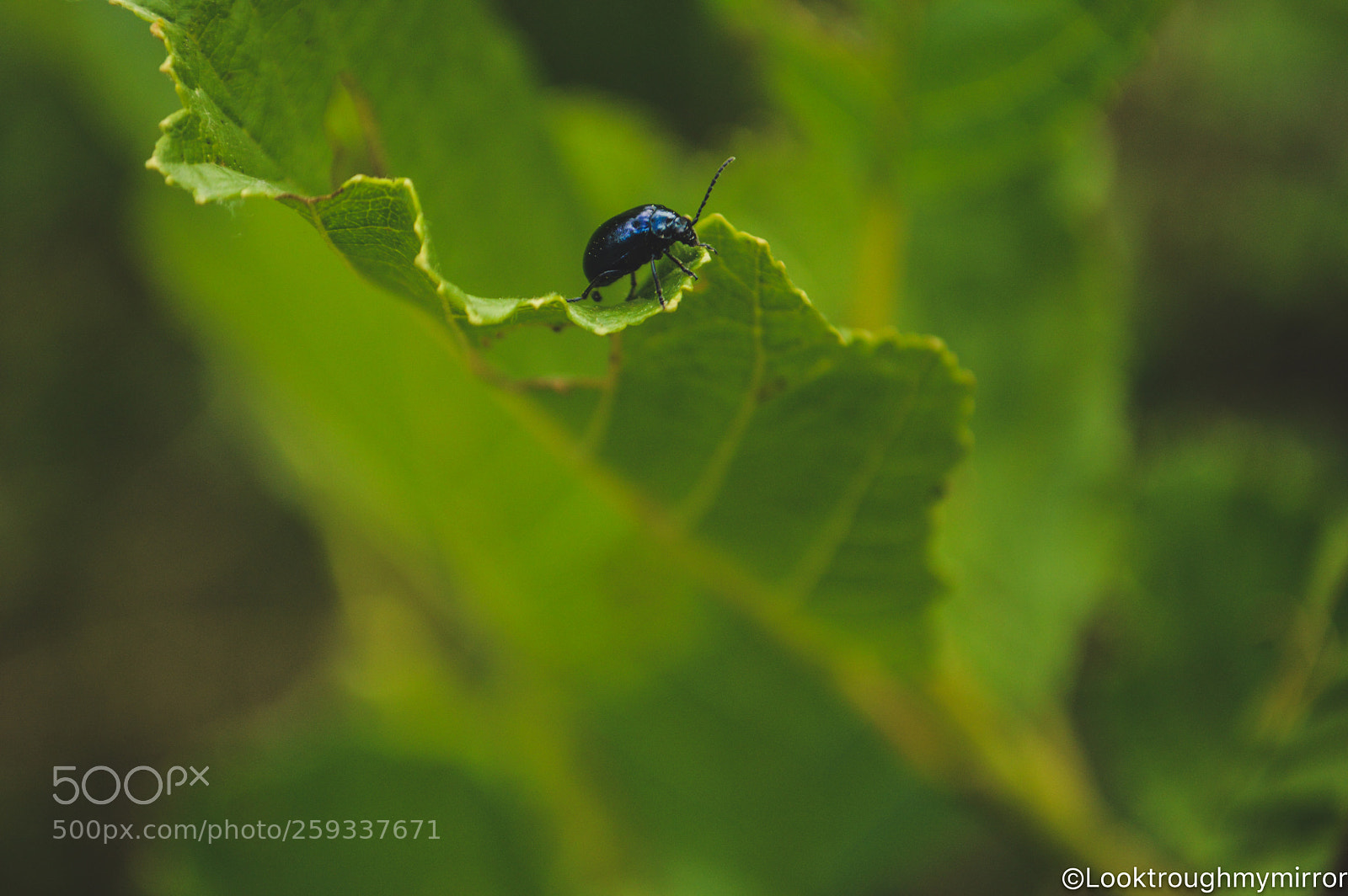Nikon D3200 sample photo. Untitled photography
