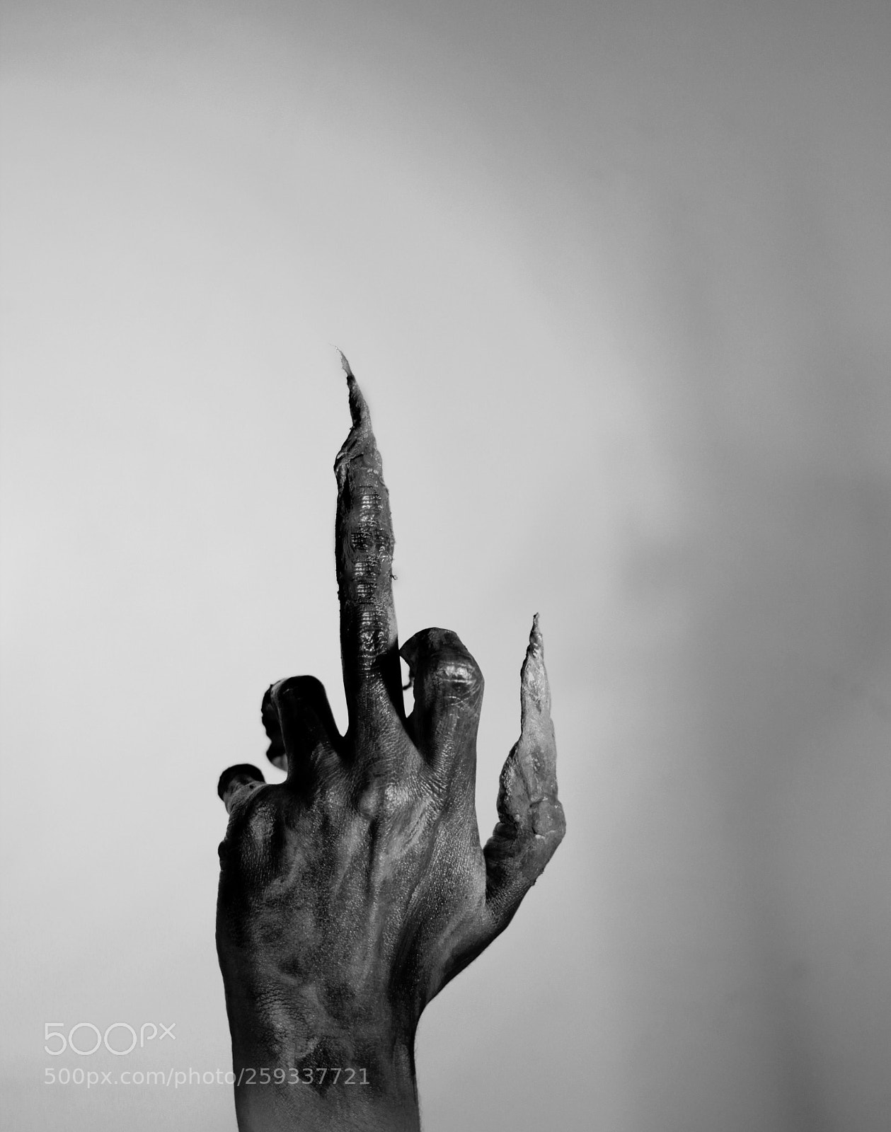 Canon EOS 60D sample photo. Fuck monsters photography
