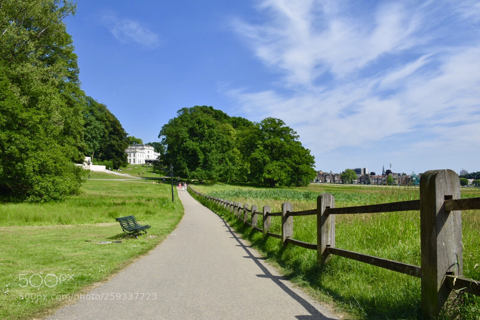 Nikon D5300 sample photo. Sonsbeekparc arnhem, the netherlands photography