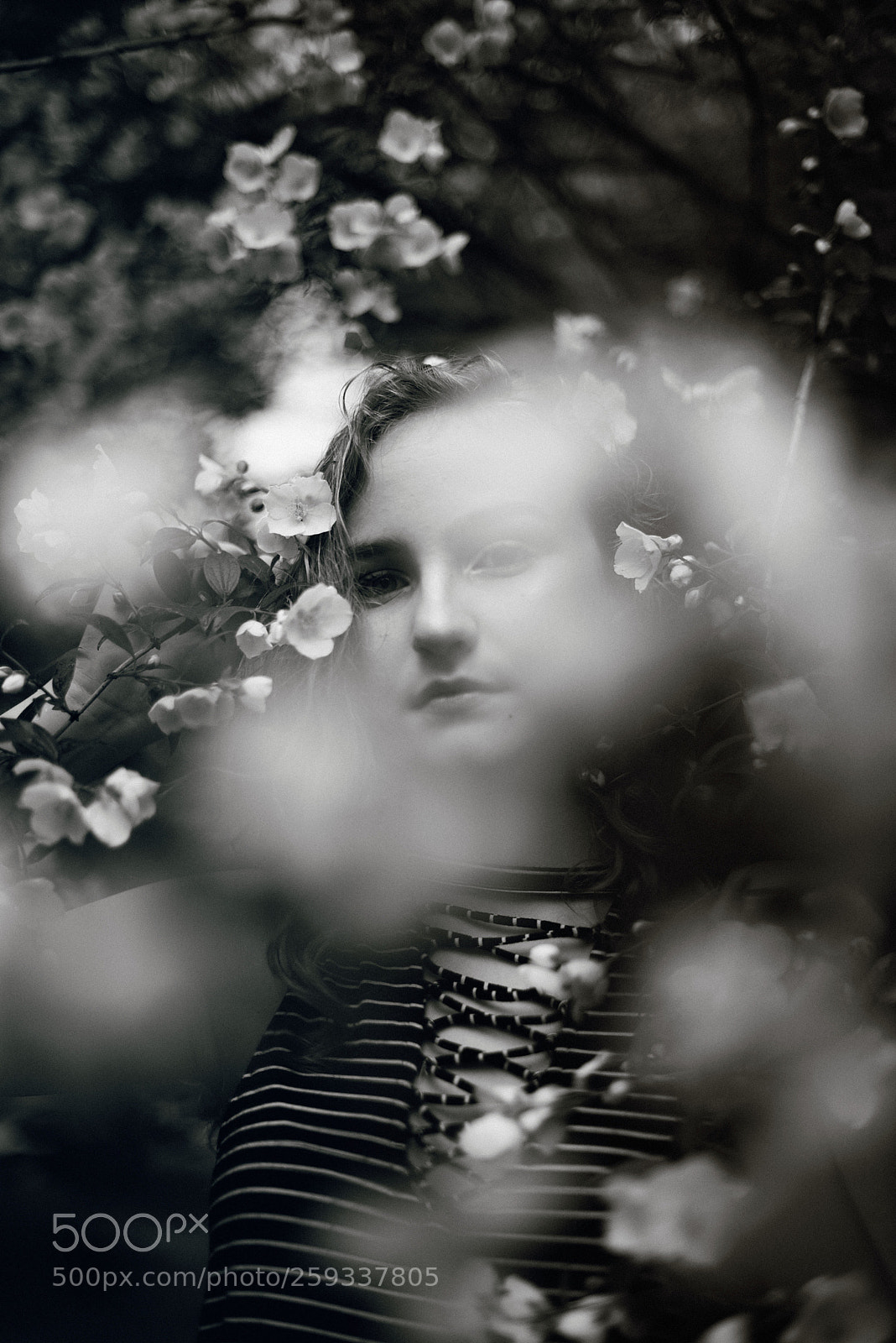 Nikon D600 sample photo. Sadie photography