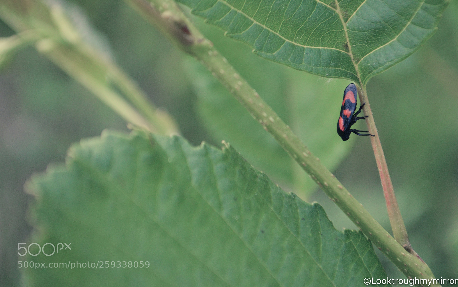 Nikon D3200 sample photo. Untitled photography