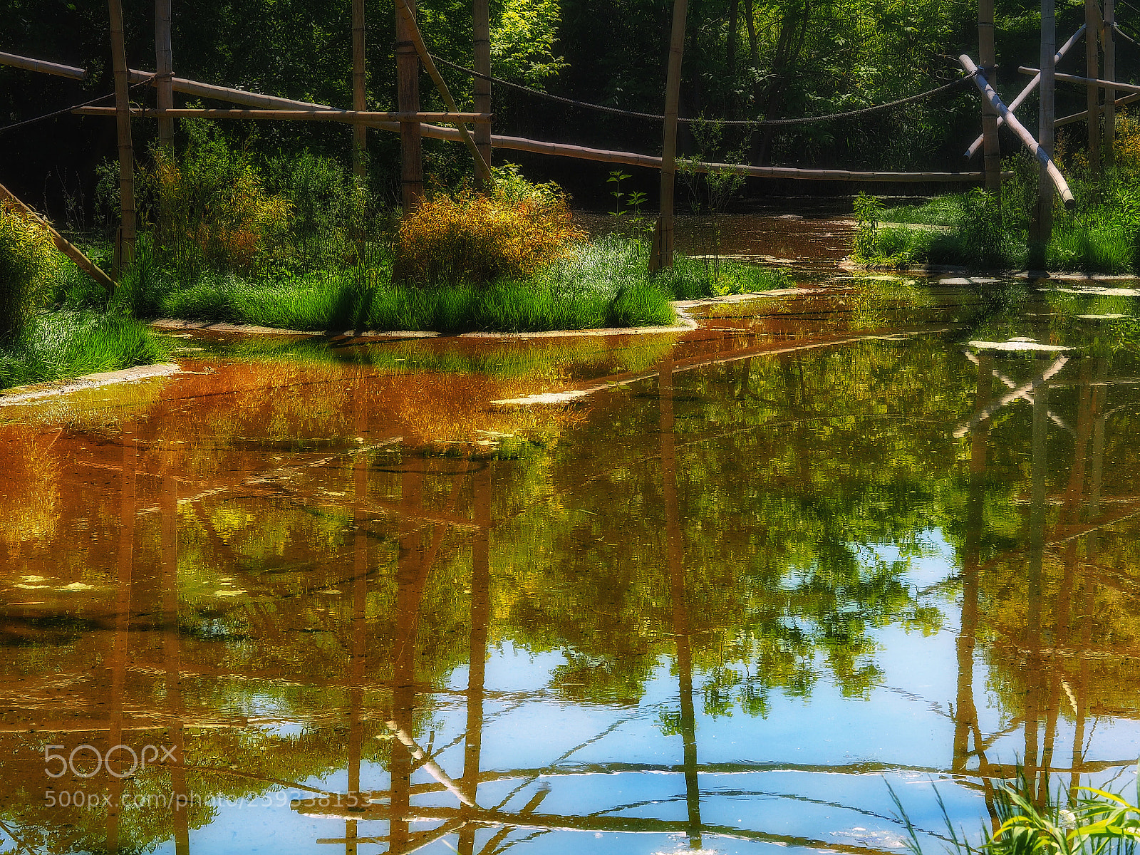 Olympus OM-D E-M5 II sample photo. Wasserspiegel photography