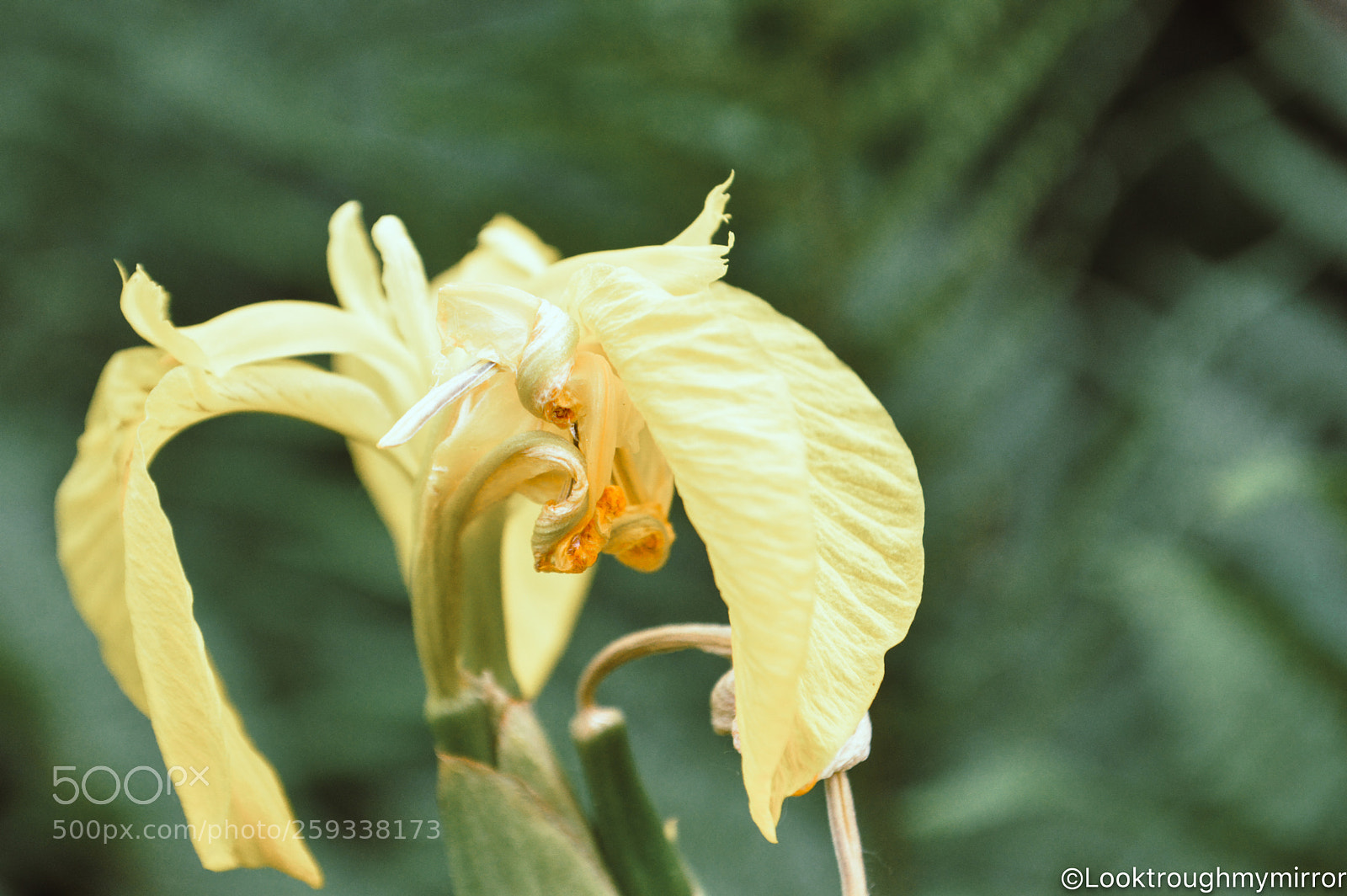Nikon D3200 sample photo. Untitled photography