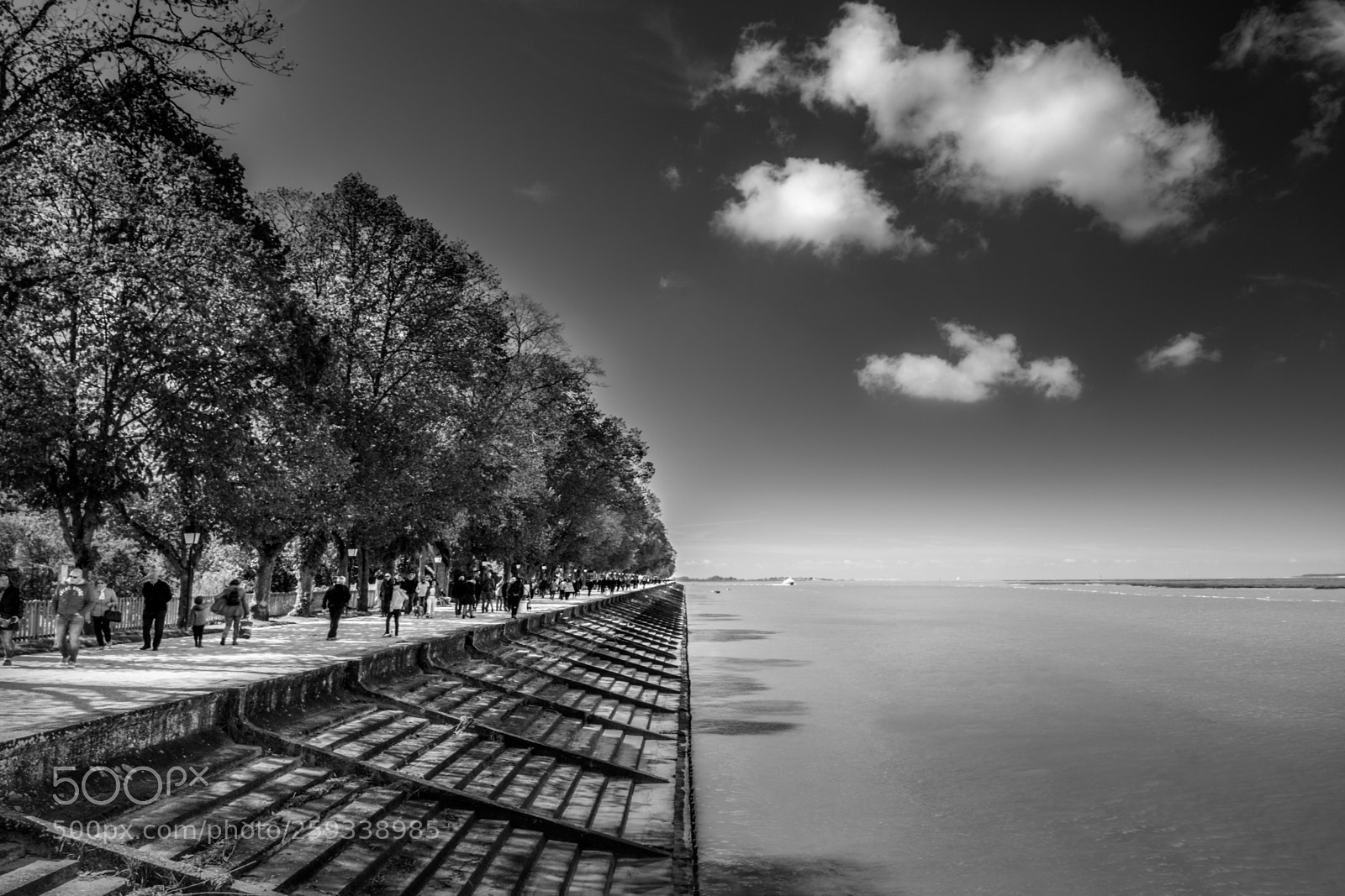 Fujifilm X-T20 sample photo. Au bord de la photography