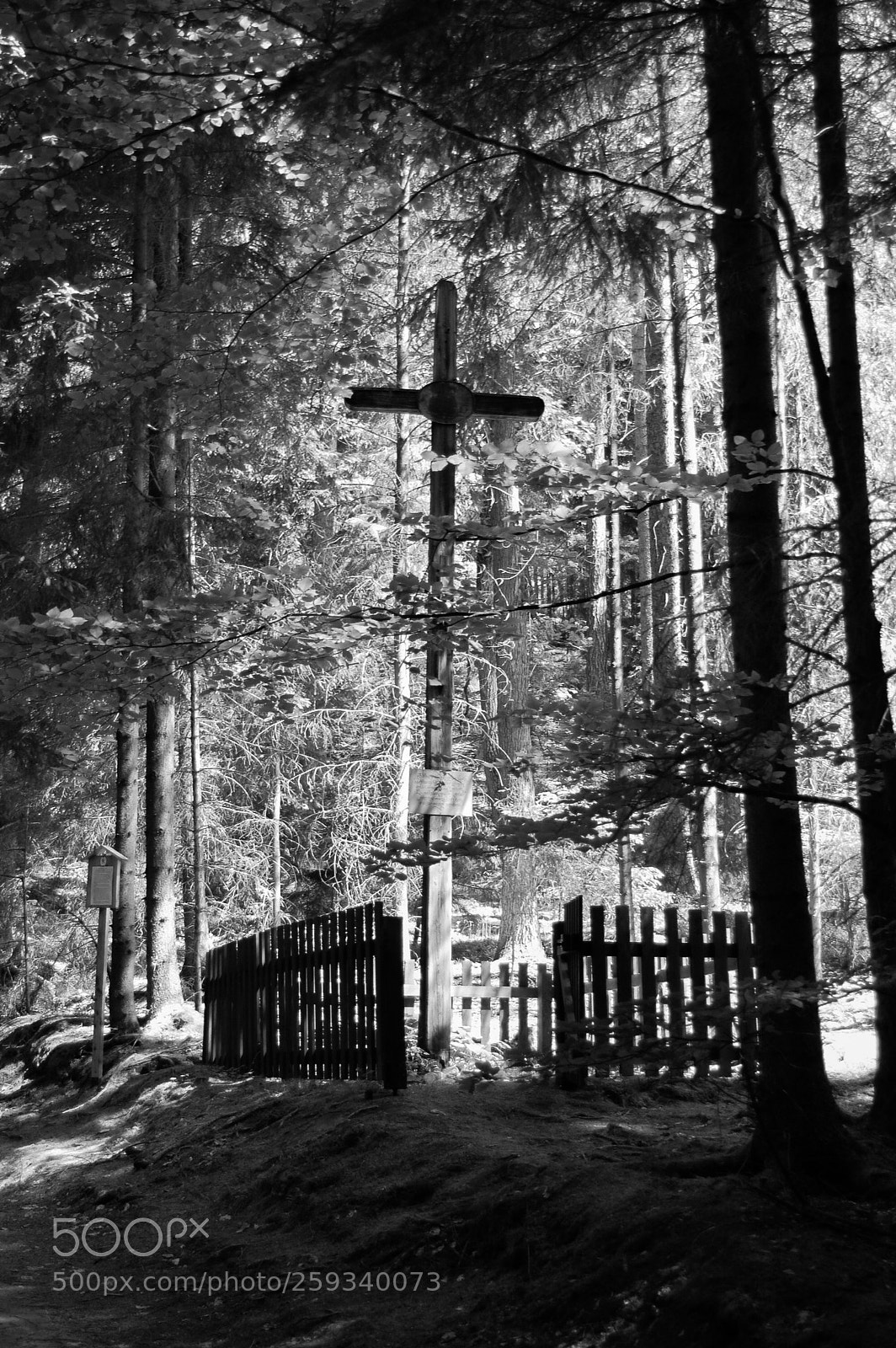 Nikon D40 sample photo. Cross in the wood photography