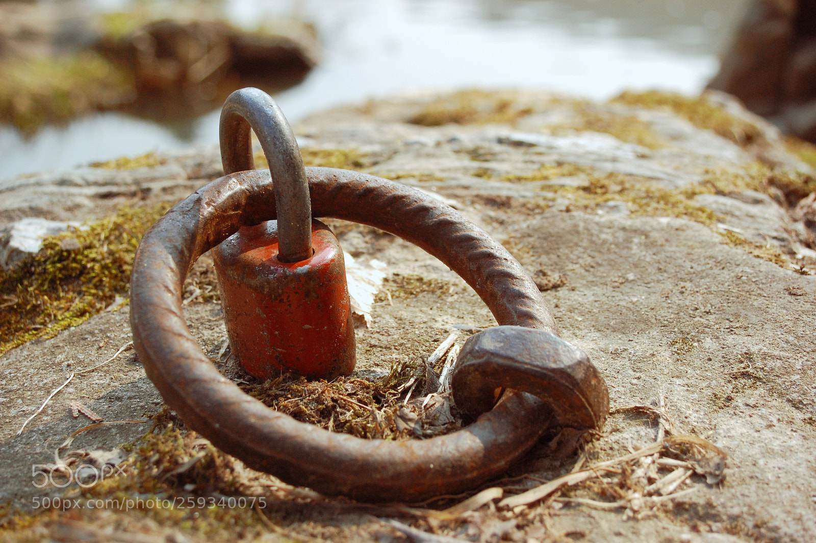 Nikon D40 sample photo. Lock in the ring photography