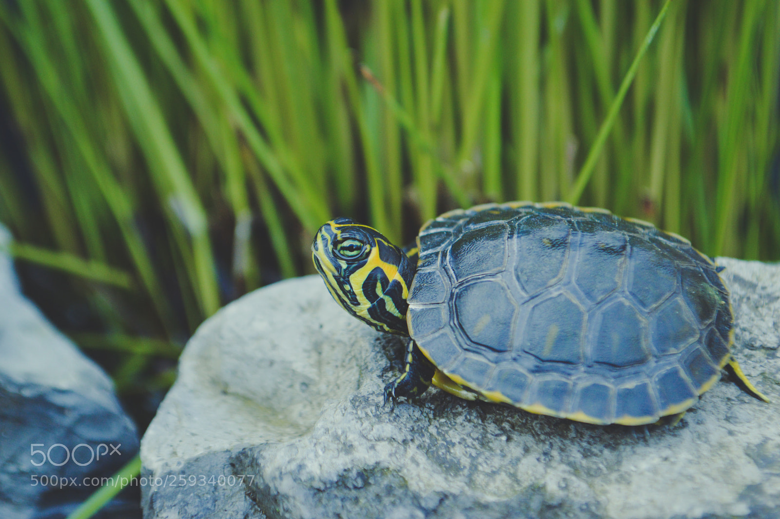 Nikon D3200 sample photo. Untitled photography