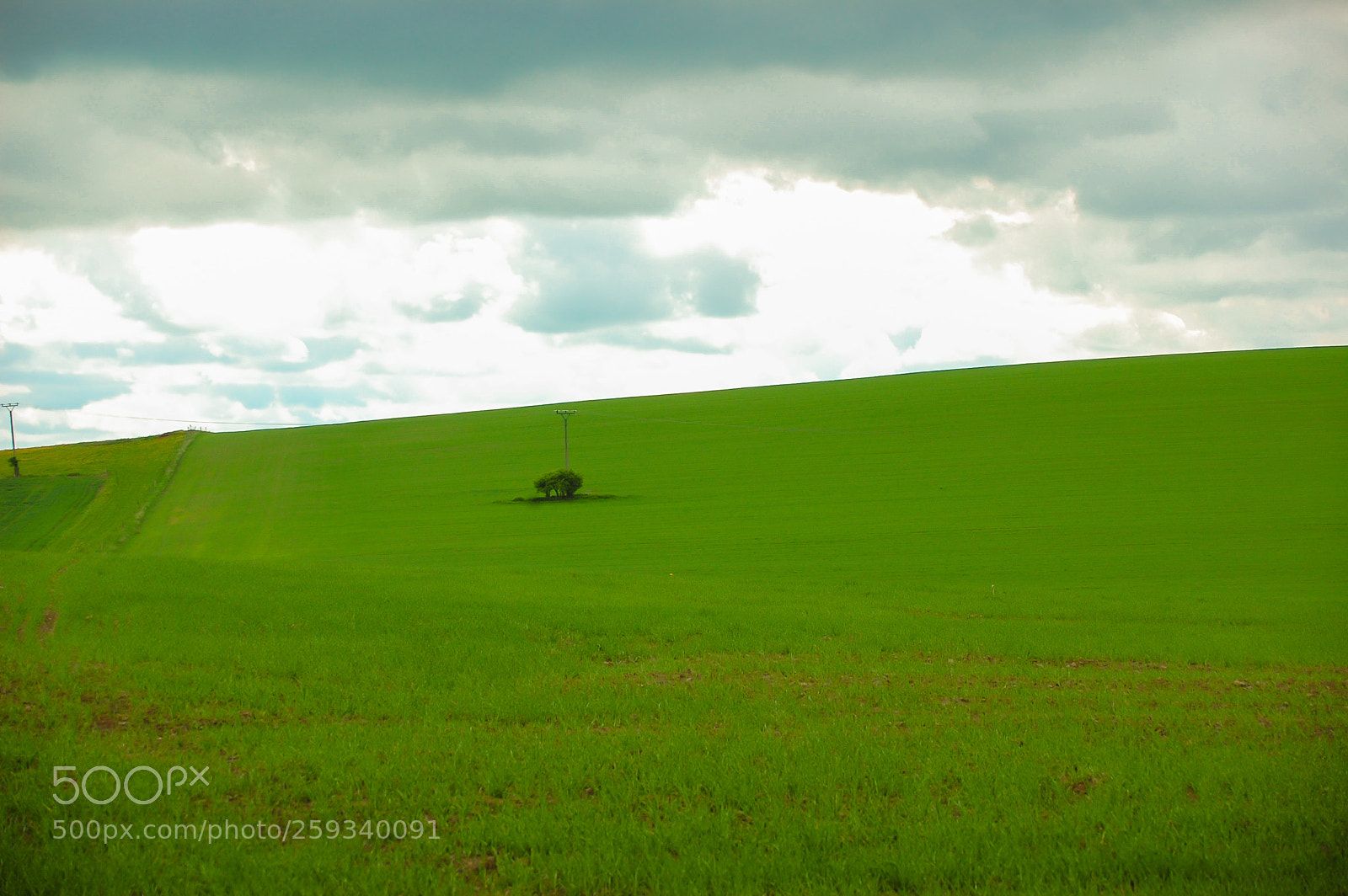 Nikon D40 sample photo. Field photography