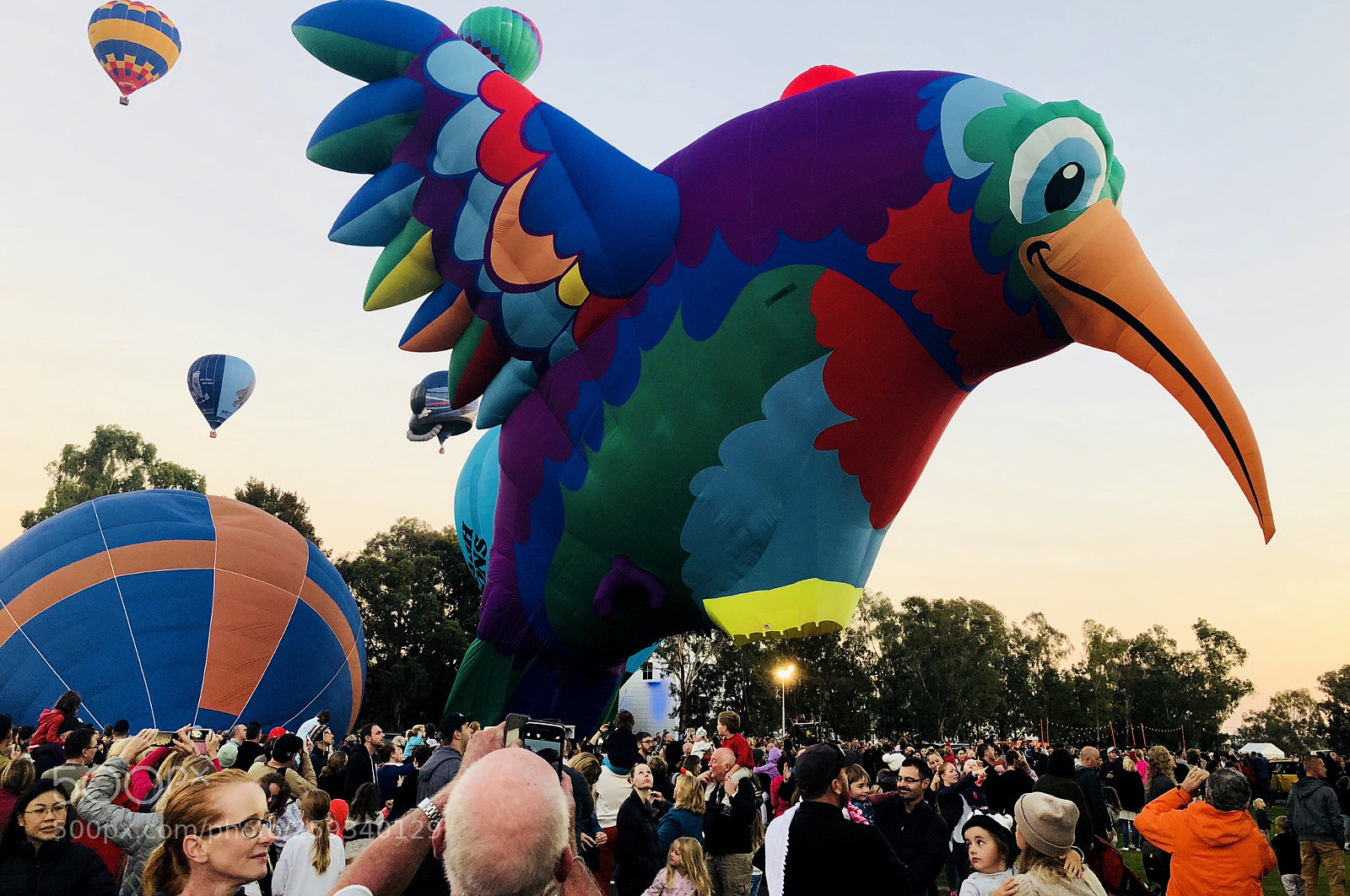 Apple iPhone X sample photo. Balloon festival - canberra photography