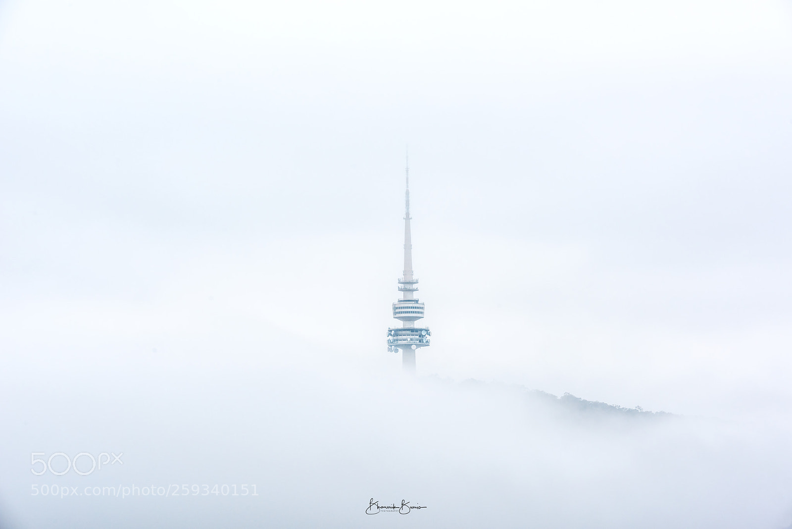 Nikon D810 sample photo. Foggy morning photography