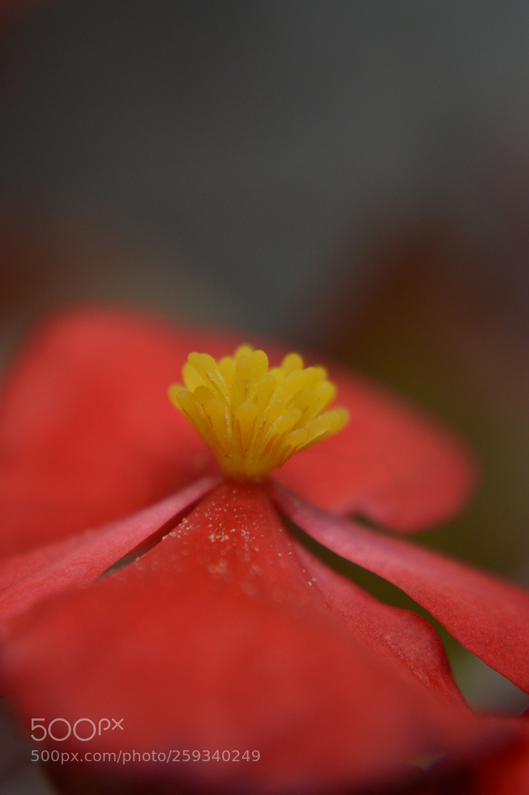 Nikon D3200 sample photo. Dsc photography