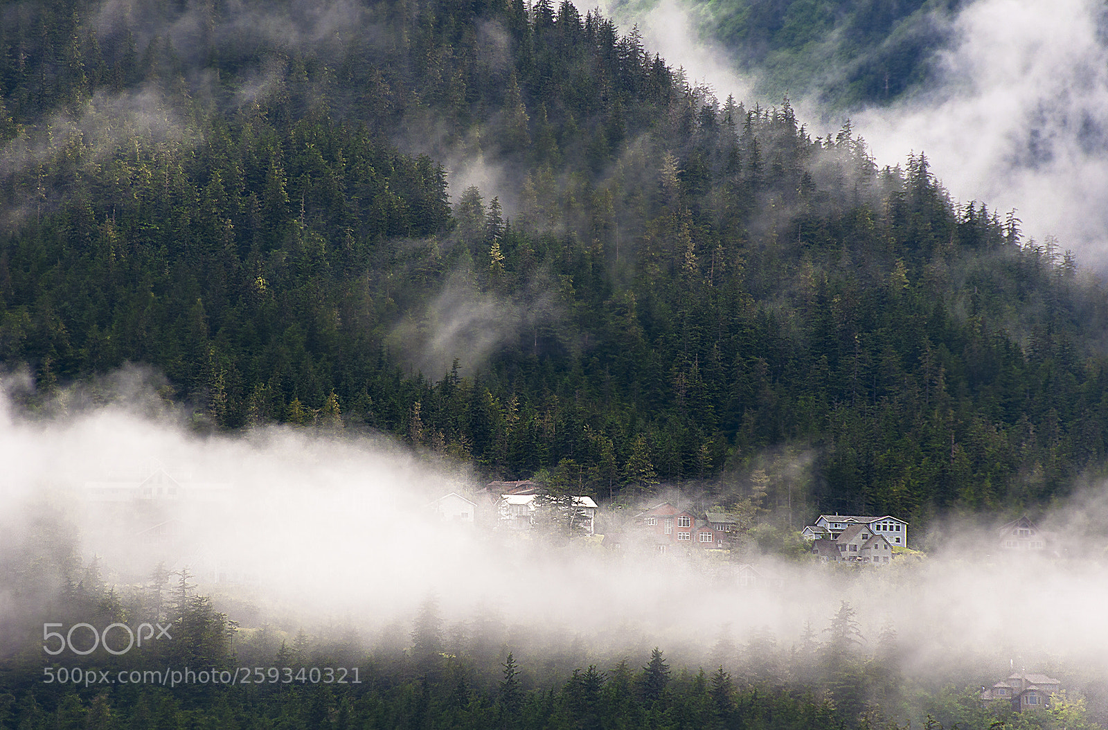 Nikon D90 sample photo. The valley in clouds photography