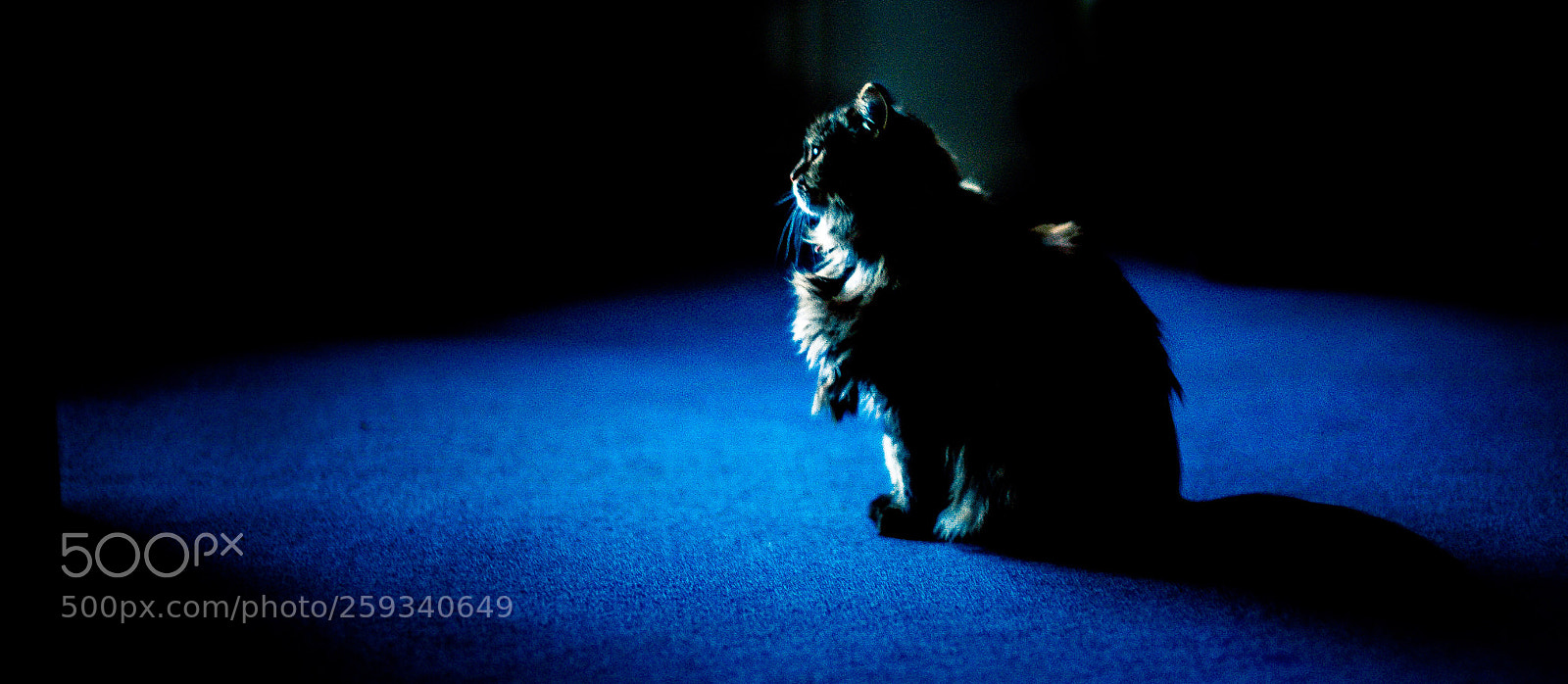 Leica M (Typ 240) sample photo. Je t attends... waiting photography